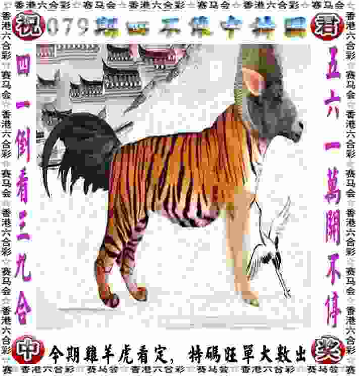 半岛V视｜新援亮相，决胜“篮”天！青岛男篮新赛季出征，目标直指季后赛